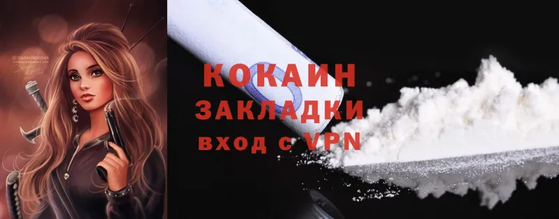 Cocaine FishScale  продажа наркотиков  Кадников 